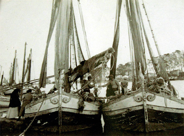 Pescara: Riapertura Museo del mare