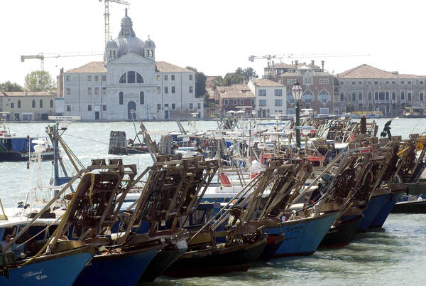 Pesca:super controlli su ‘taglia’ vongole,protesta anti-Ue
