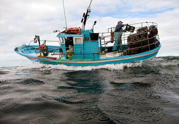 Pesca: Coldiretti,fermare importazioni prodotto ormai al 76%