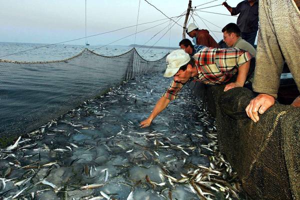 Nuovo Fondo per gli affari marittimi e la pesca in Europa