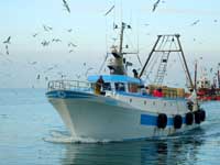 Essere Capobarca alla pesca costiera