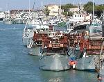 decreto fermo pesca 2013