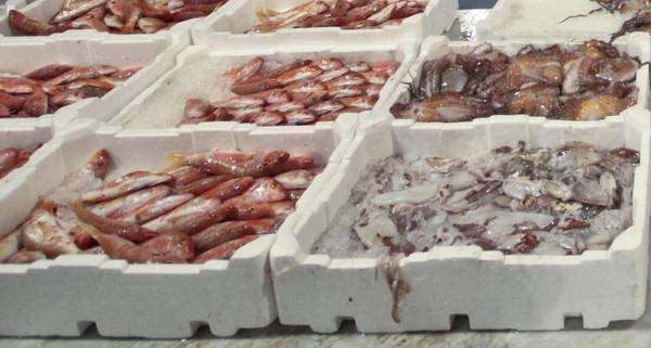Ue: pesca illegale, stop import da Belize, Cambogia e Guinea