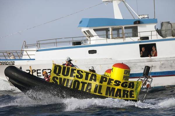 blitz greenpeace in canale di sicilia per difesa acciughe