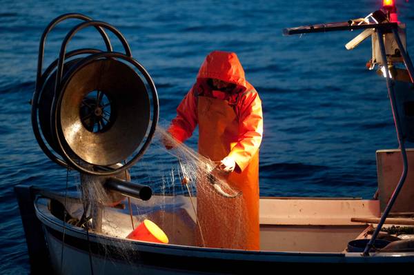 Pesca: Ue,Parlamento stanzia 6,5 mld per nuovo Fondo