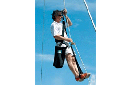 Mastclimber per salire sull’albero
