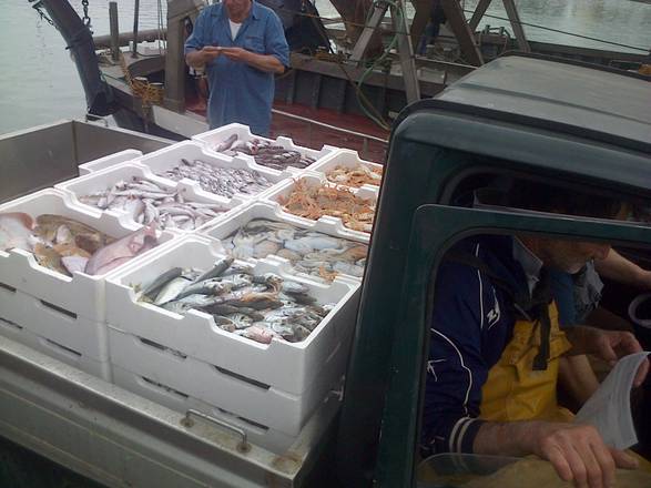 Ue: Via libera del Parlamento a nuova politica pesca