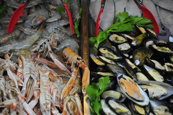 Pappa Fish, pesce locale in menù scuole Marche