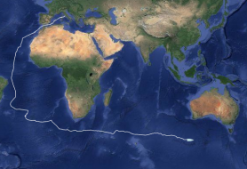 UN ALTRO GRANDE PASSO AVANTI PER ROMA OCEAN WORLD