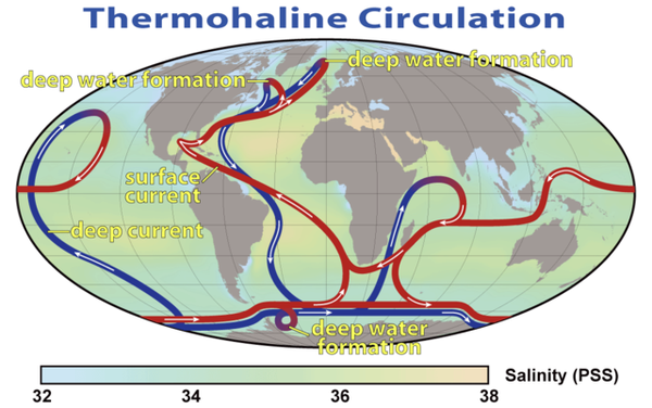 Scioglimento ghiacci rallenta circolazione oceanica