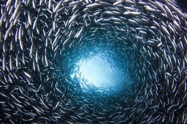 Oceani settima economia mondiale, ma in declino