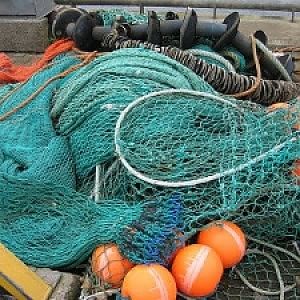 Consumi, scatta il fermo pesca nel mare Adriatico: stop al pesce fresco a tavola