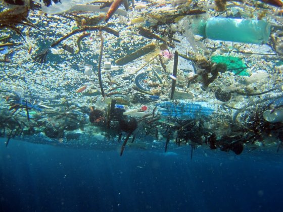 Plastic Busters Project