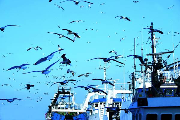 La Camera di commercio di Genova prepara la fiera dell’imprenditoria del mare